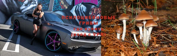 трава Верхний Тагил
