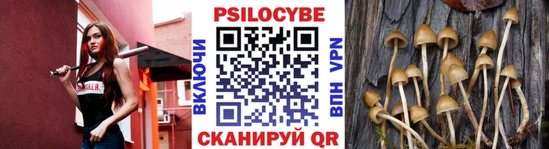 Псилоцибиновые грибы мухоморы  купить  сайты  гидра ССЫЛКА  Верхоянск 